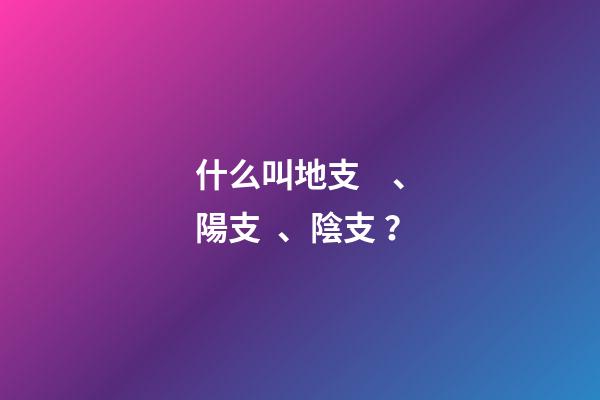 什么叫地支、陽支、陰支？